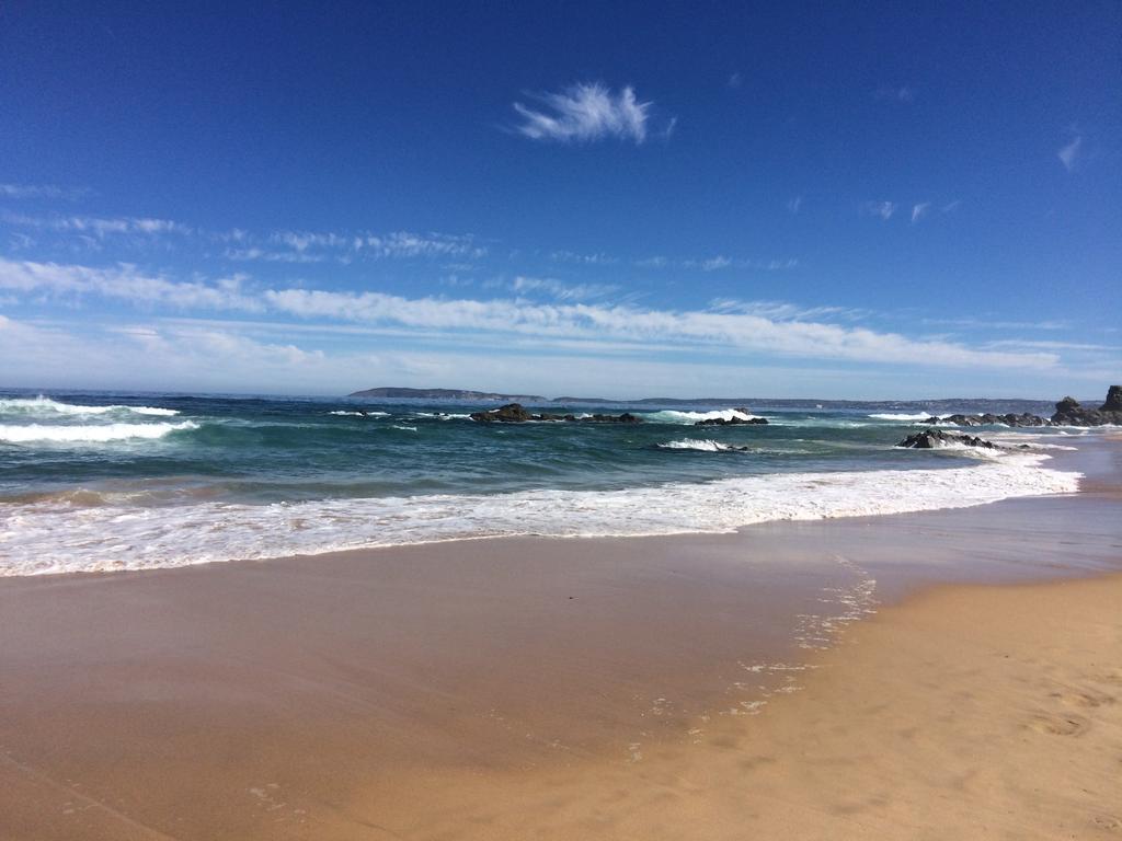 The Green Palm Cottage Plettenberg Bay Ngoại thất bức ảnh